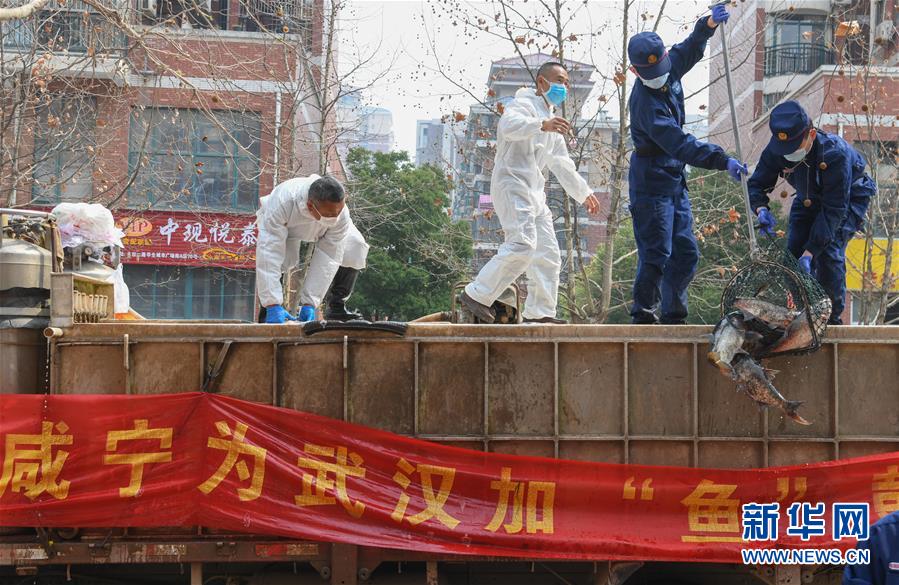 （新華全媒頭條·圖文互動）（12）從人民中汲取磅礴力量——習(xí)近平總書記同出席2020年全國兩會人大代表、政協(xié)委員共商國是紀(jì)實(shí)